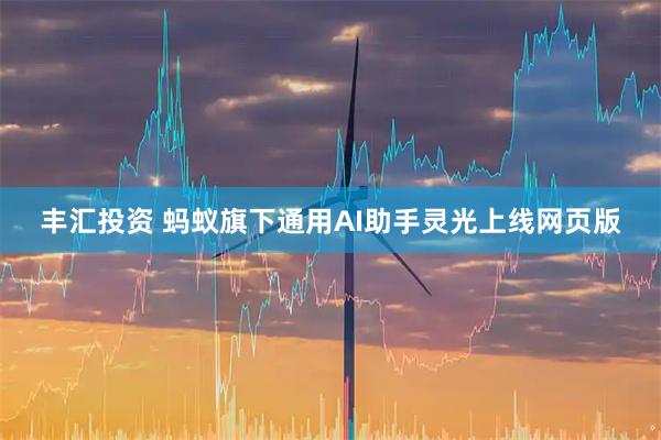 丰汇投资 蚂蚁旗下通用AI助手灵光上线网页版