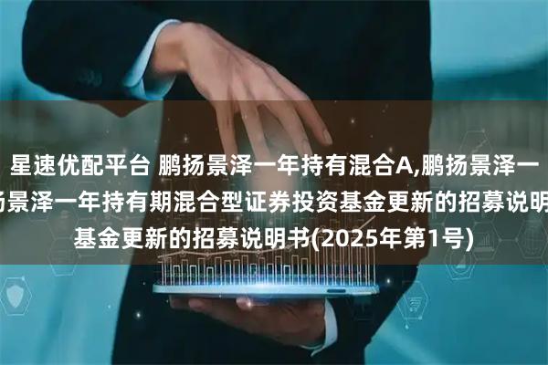 星速优配平台 鹏扬景泽一年持有混合A,鹏扬景泽一年持有混合C: 鹏扬景泽一年持有期混合型证券投资基金更新的招募说明书(2025年第1号)