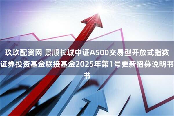玖玖配资网 景顺长城中证A500交易型开放式指数证券投资基金联接基金2025年第1号更新招募说明书