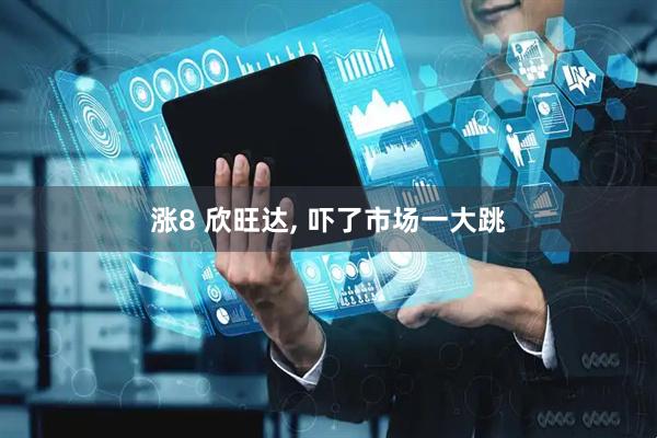 涨8 欣旺达, 吓了市场一大跳